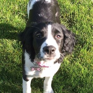 Meet your Posher, Dena